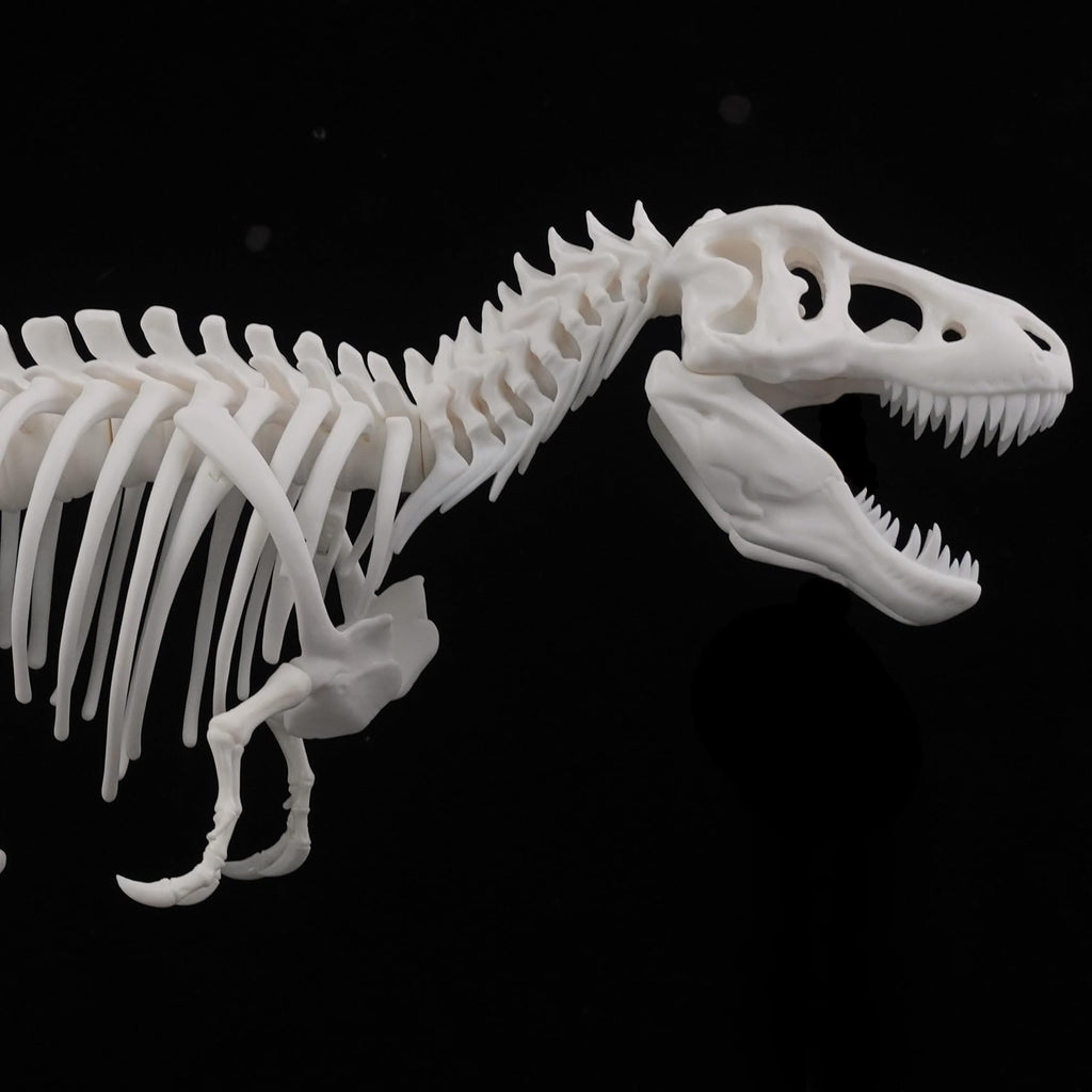 FUNCRECOL High Precision Compatible Low Cost 3D Printer Resin White